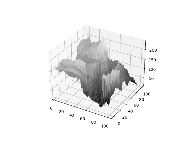 Surface Plot 11