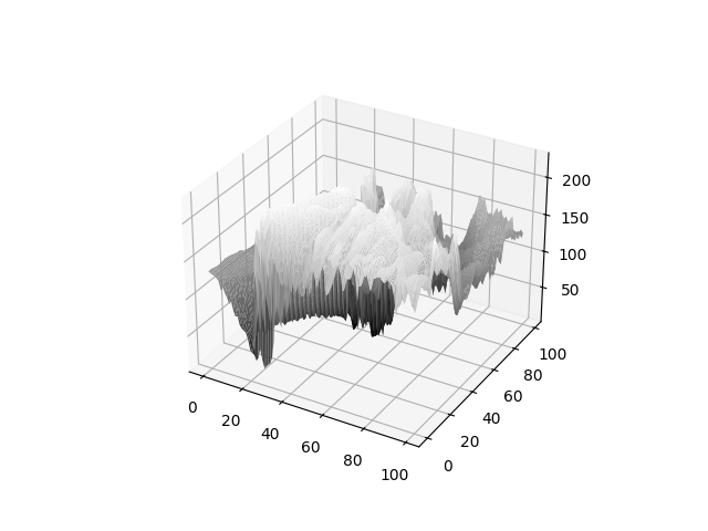 Surface Plot 13